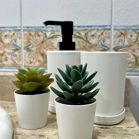 Vakantiehuis En Centro - Vial